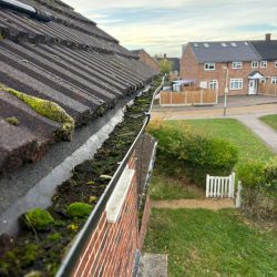 WhatsApp Image 2026-02-23 at 13.31.45