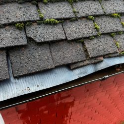 WhatsApp Image 2026-02-23 at 13.35.04 (1)